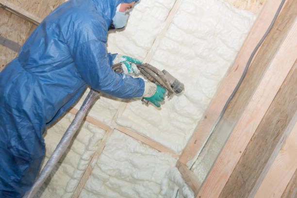 Best Basement Insulation  in Aberdeen, IN